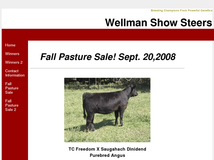 www.wellmanshowsteers.com