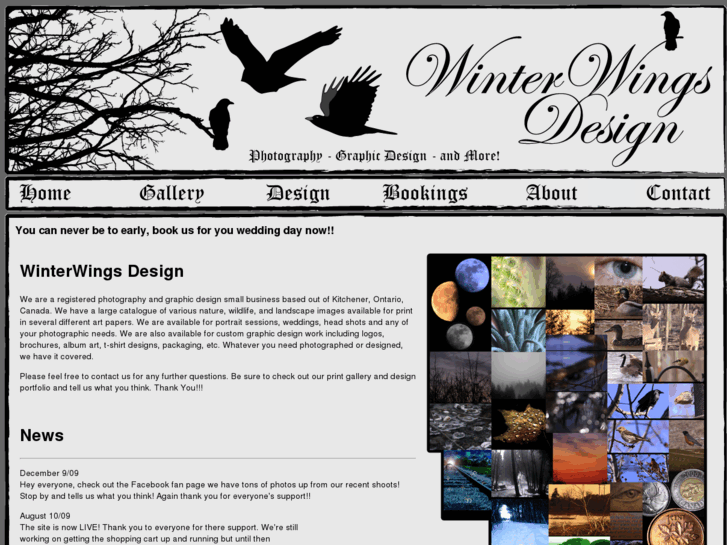 www.winterwings.com