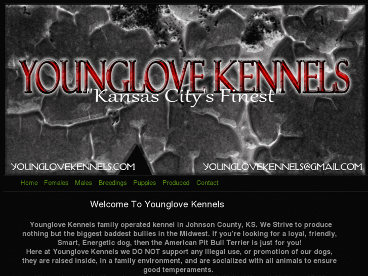 www.younglovekennels.com