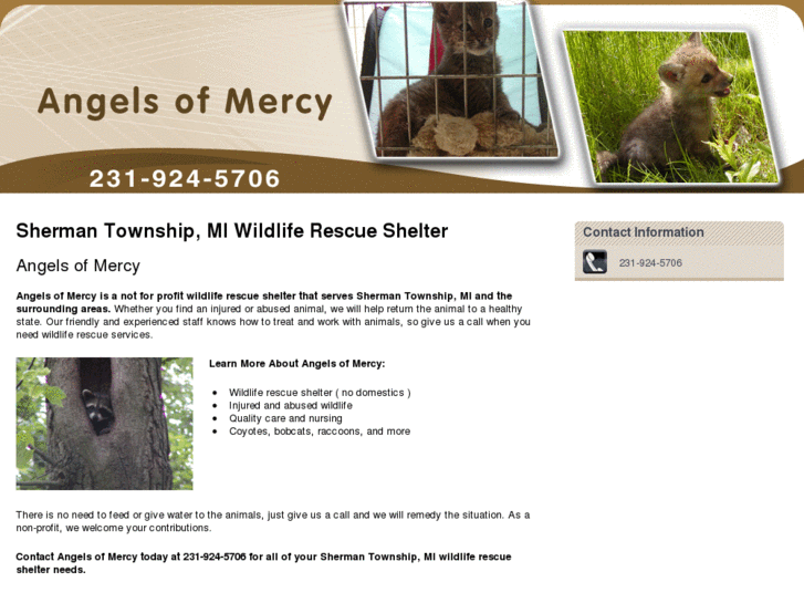 www.angelsofmercywildlife.com