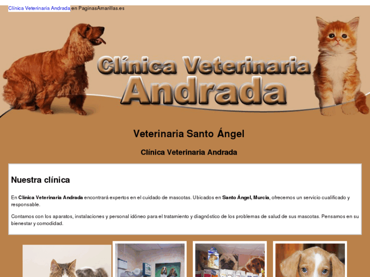 www.clinicaveterinariaandrada.es