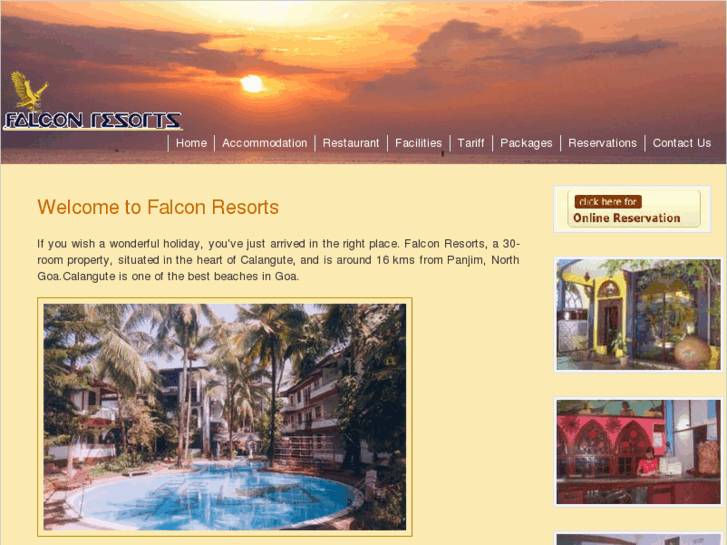 www.falcongoa.com