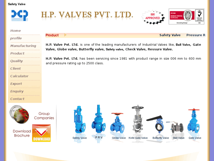 www.hpvalve.net