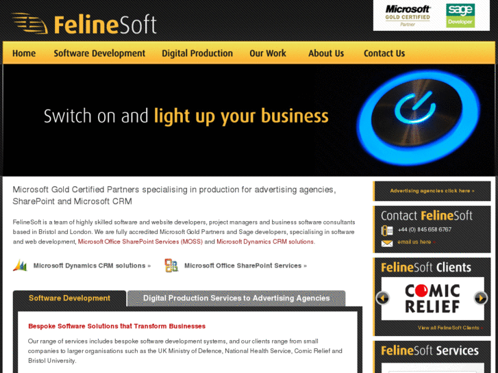 www.felinesoft.com