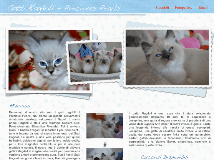 www.gattiragdoll.net