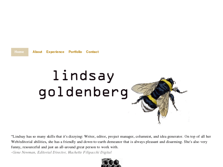 www.lindsaygoldenberg.com