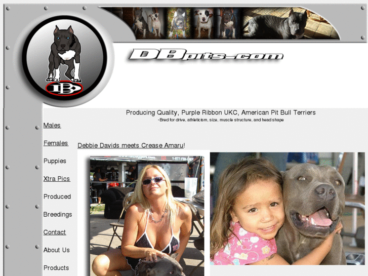 www.dbpits.com