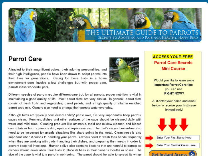 www.parrotssecretsguide.com