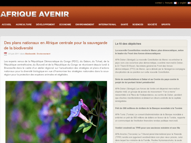 www.afriqueavenir.org