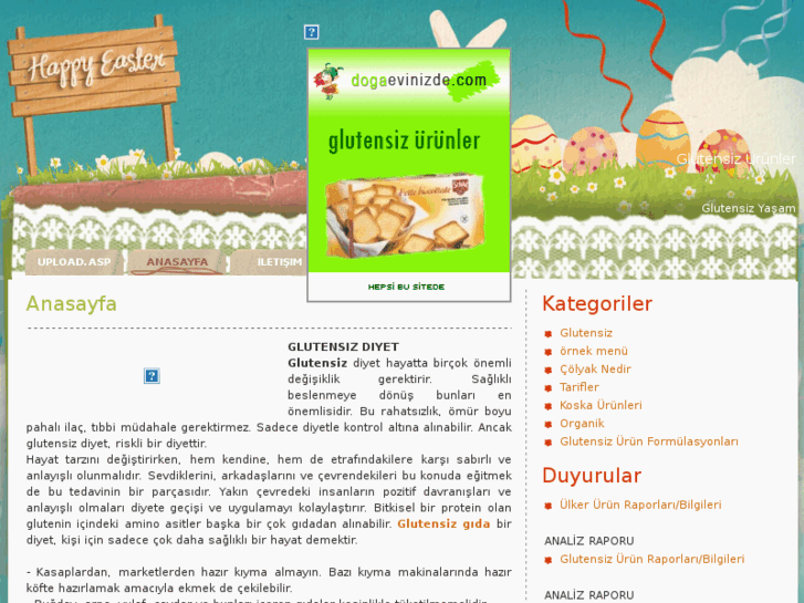 www.glutensizyasam.net