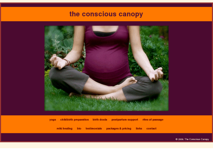 www.theconsciouscanopy.com