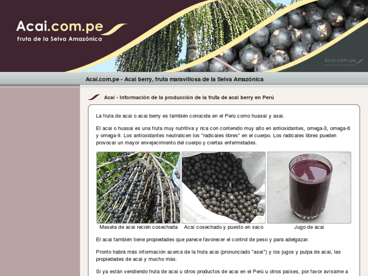 www.acai.com.pe