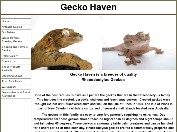 www.geckohaven.com