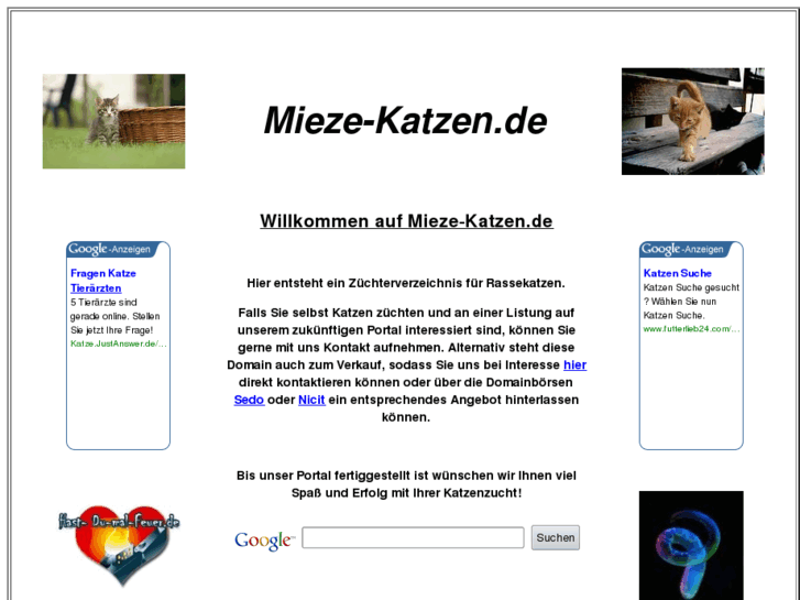 www.mieze-katzen.de