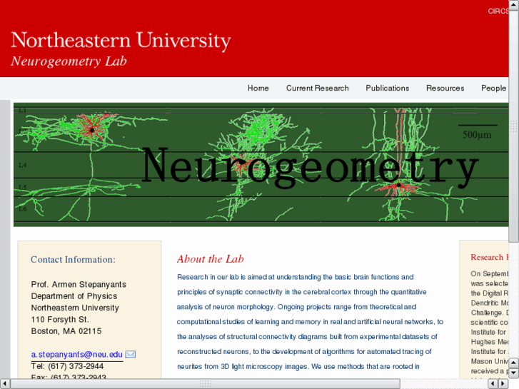 www.neurogeometry.net