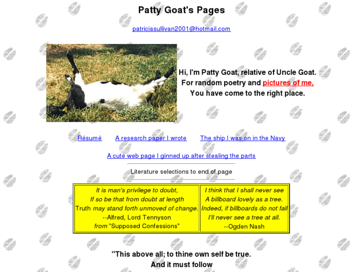 www.pattygoat.com