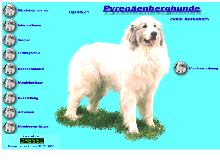 www.pyrenaeenberghund.biz