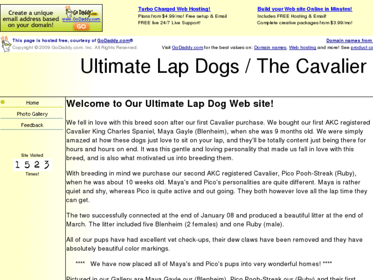 www.ultimatelapdogs.com