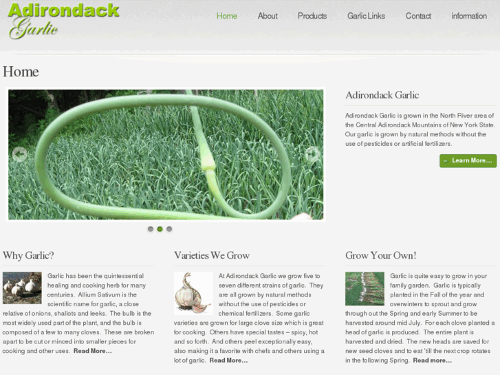 www.adirondackgarlic.com