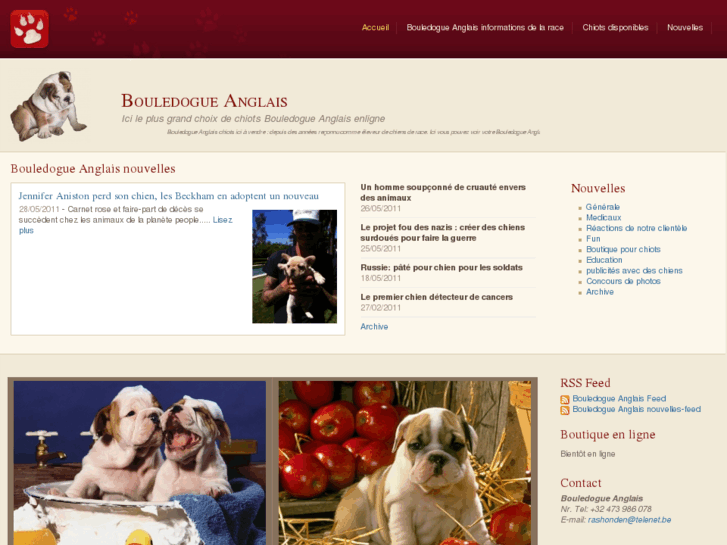 www.bouledogue-anglais-enligne.be