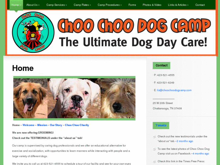 www.choochoodogcamp.com