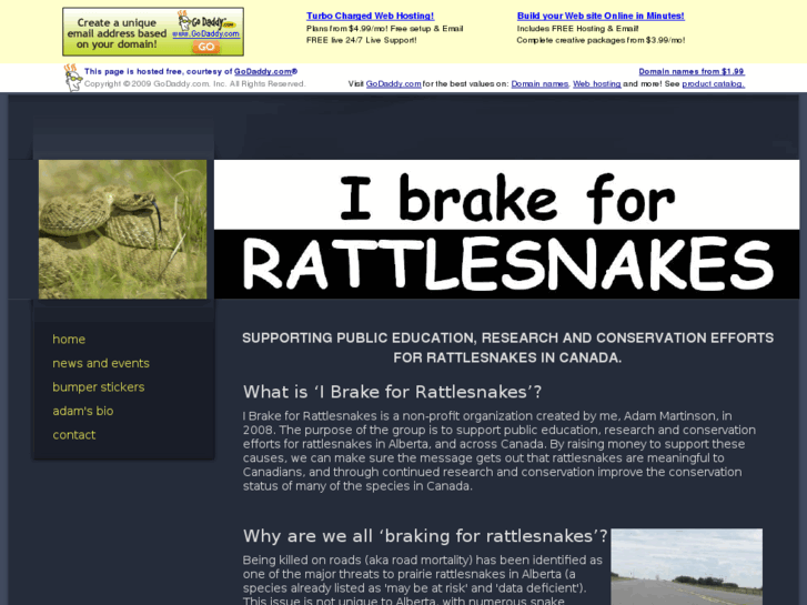 www.ibrakeforrattlesnakes.com