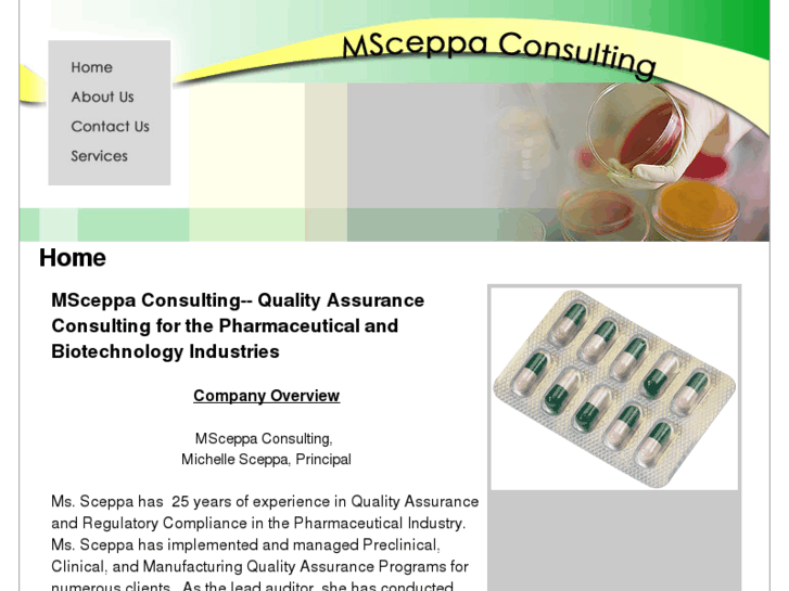 www.msceppaconsulting.com