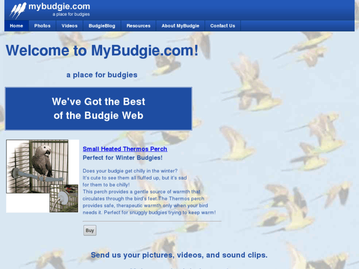 www.mybudgie.com