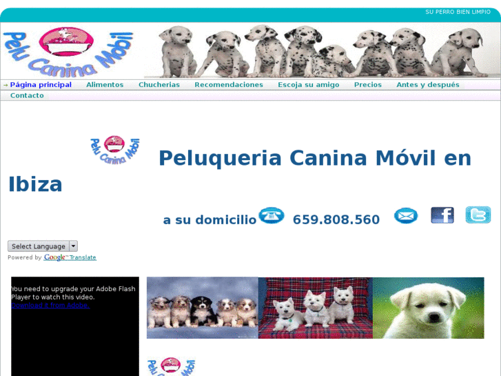 www.pelucaninamobil.com