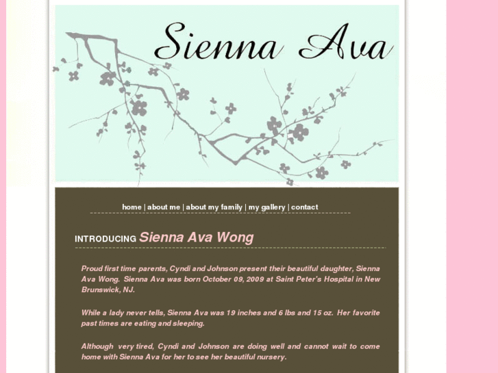 www.siennaawong.com