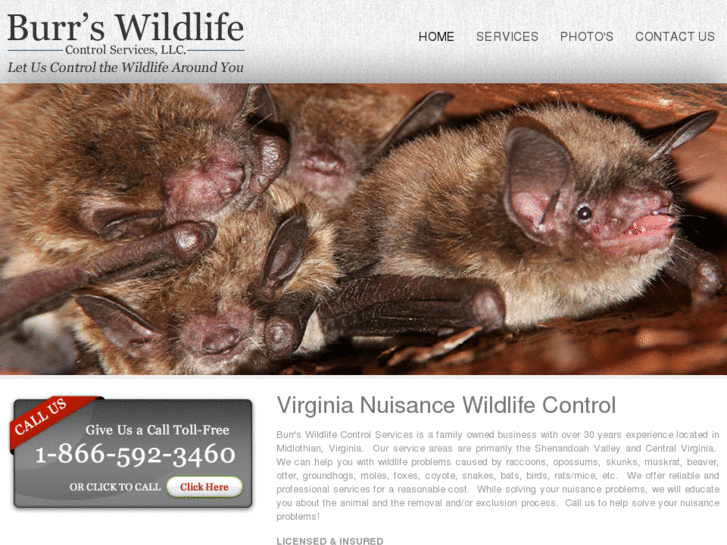 www.burrswildlifecontrol.com