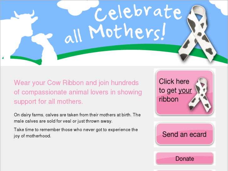 www.cowribbon.com