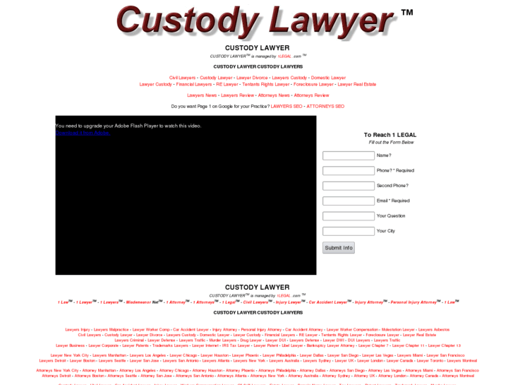 www.custodylawyer.biz