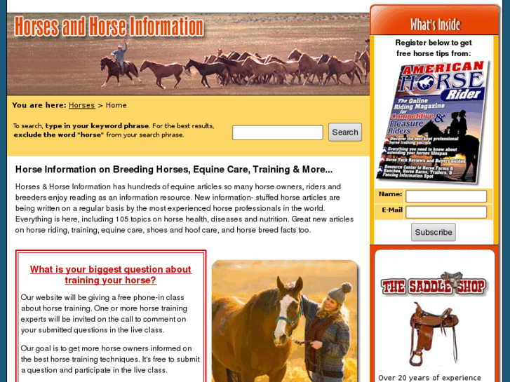 www.horses-and-horse-information.com