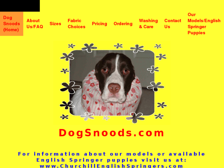 www.dogsnoods.com