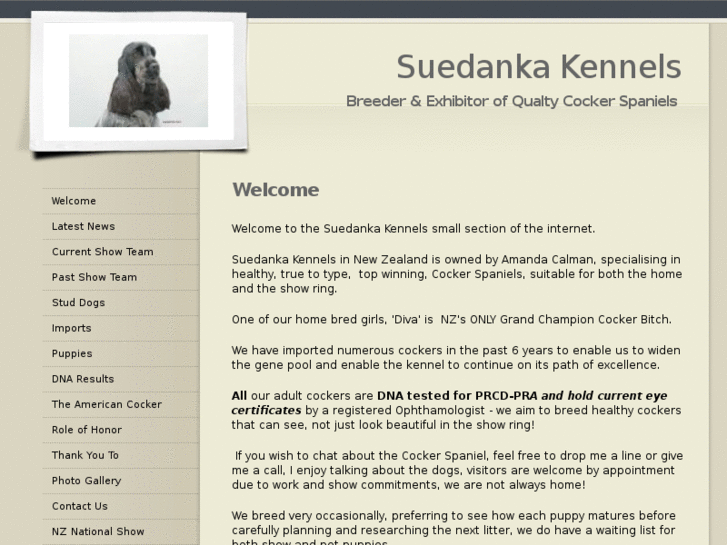 www.suedanka.com