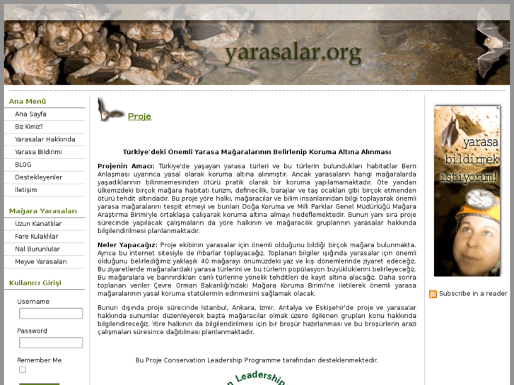 www.yarasalar.org