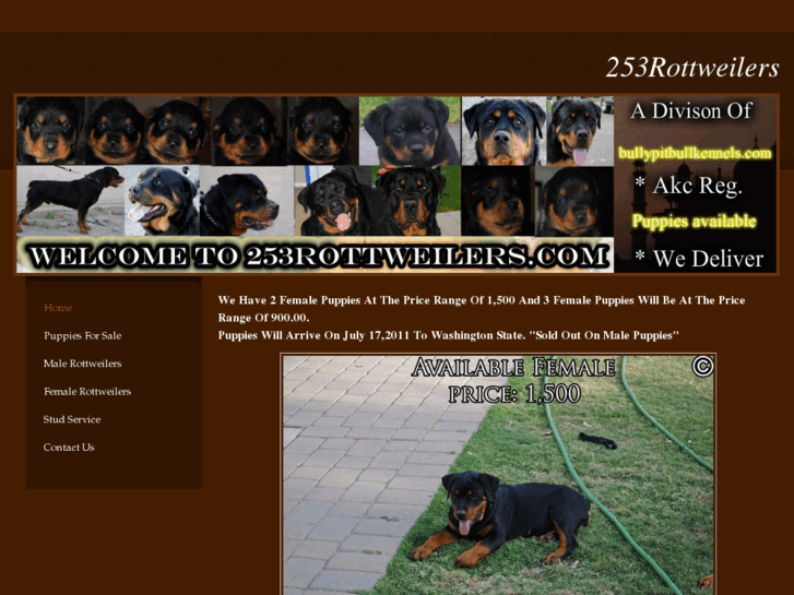 www.253rottweilers.com