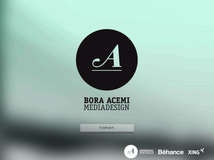 www.boraacemi.com