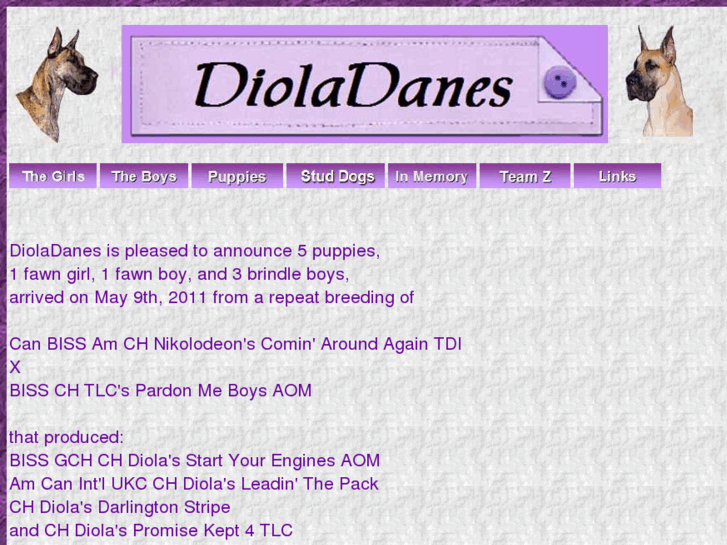 www.dioladanes.com