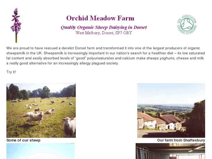 www.orchidmeadow.com