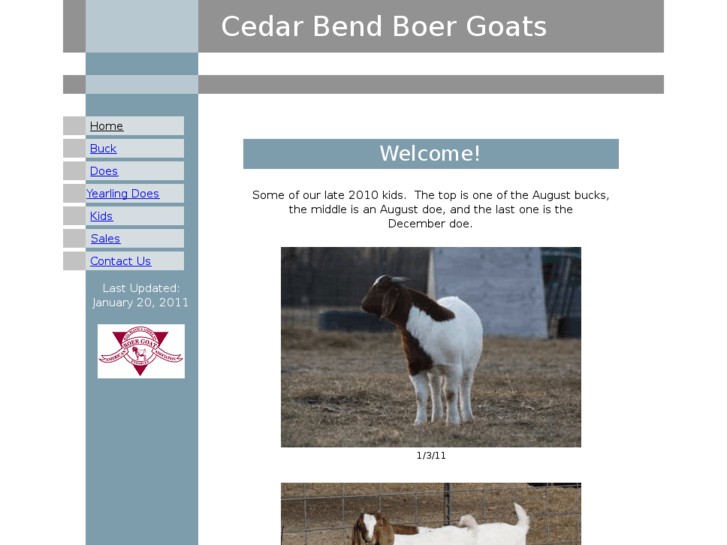 www.cedarbendboergoats.com