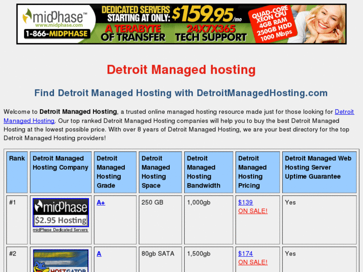 www.detroitmanagedhosting.com