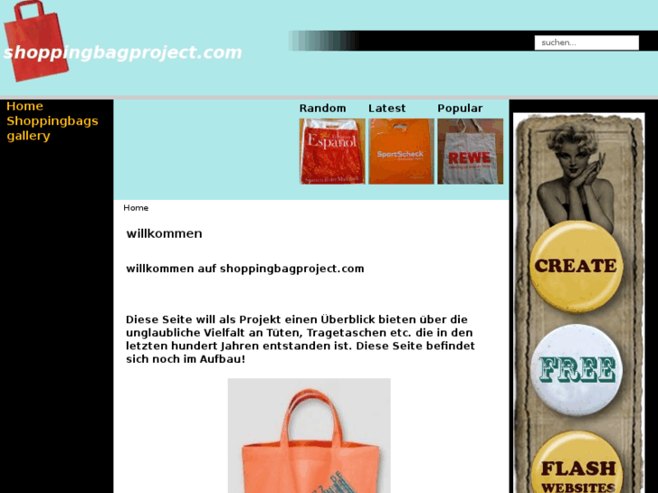 www.shoppingbagproject.com