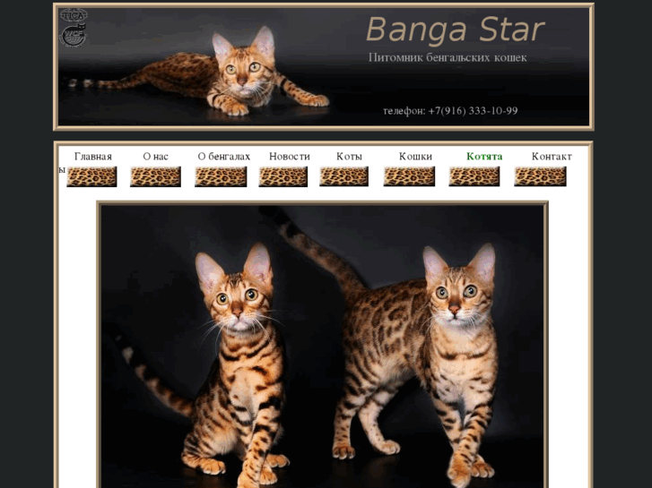 www.banga-star.com