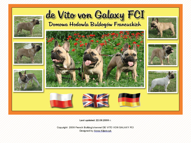 www.bulldoggegalaxy.com