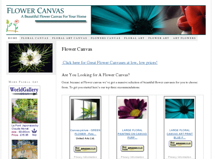 www.flowercanvas.net