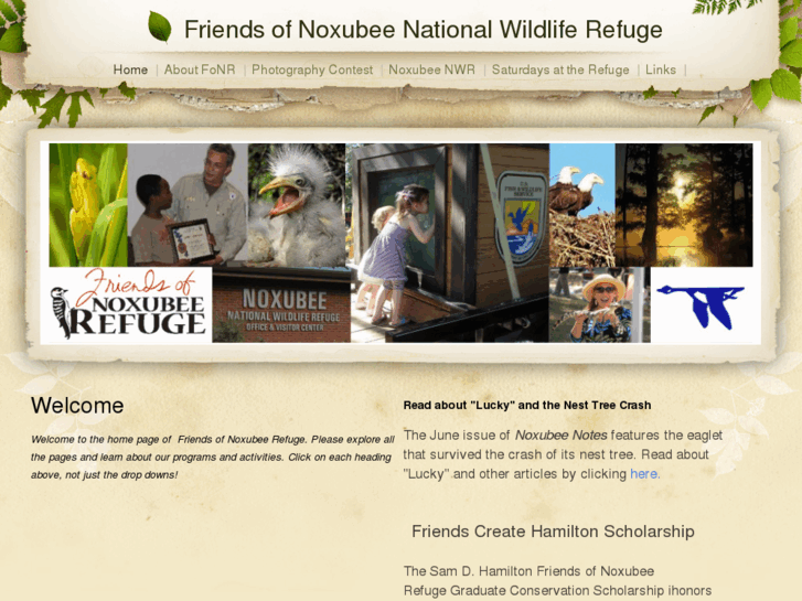 www.friends-of-noxubee-refuge.org