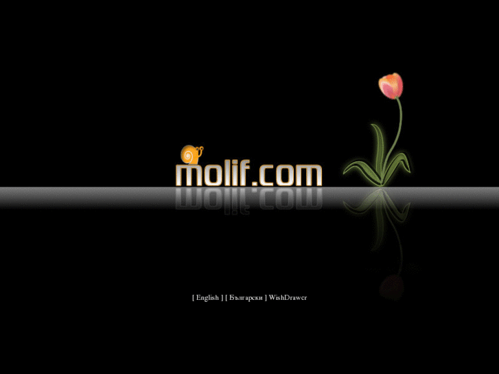 www.molif.com