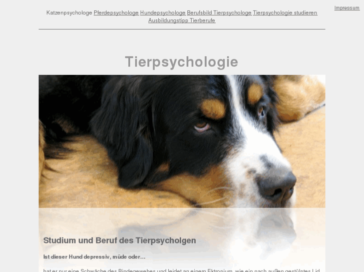 www.tierpsychologie-studium.com